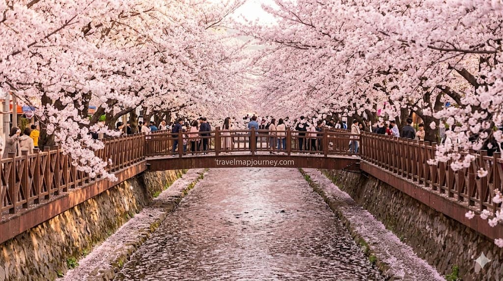 창원 진해 군항제