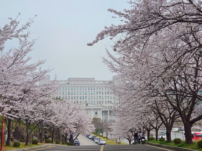 경희대학교 국제캠퍼스