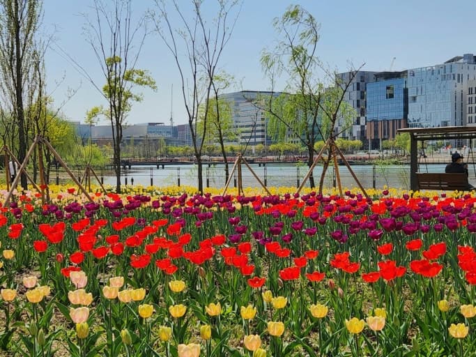 서울식물원 봄 튤립 전시
