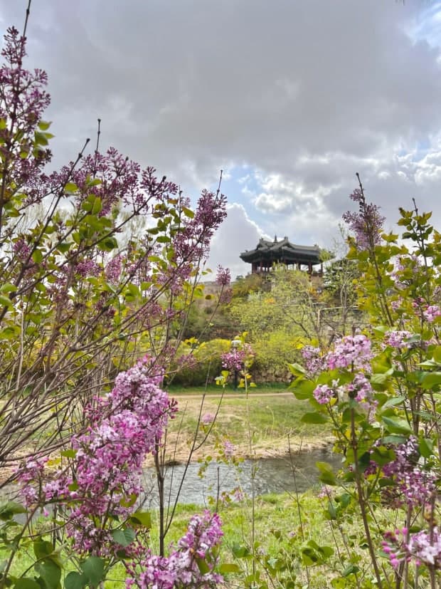 수원 화성행궁 일원