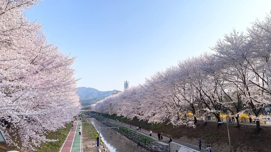 매헌시민의숲 (양재 시민의숲)