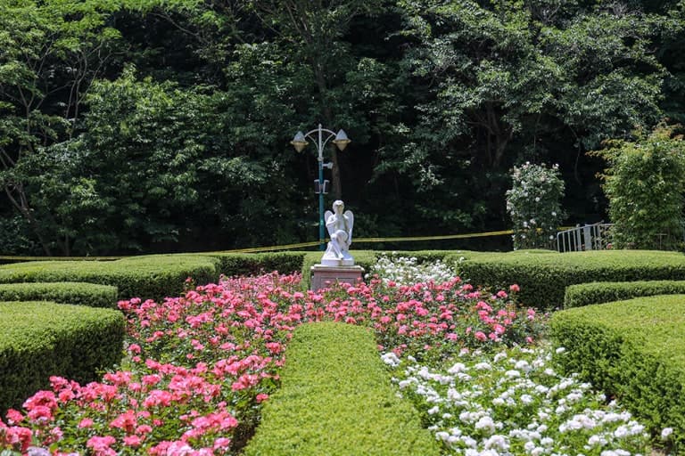 울산대공원 장미원