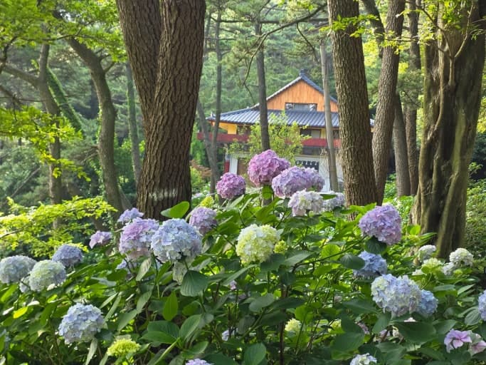 부산 태종사