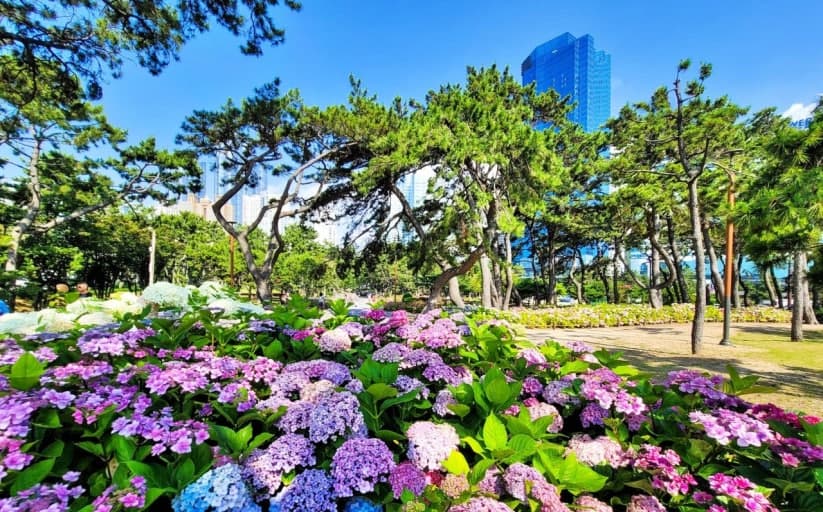 부산 해운대 송림공원