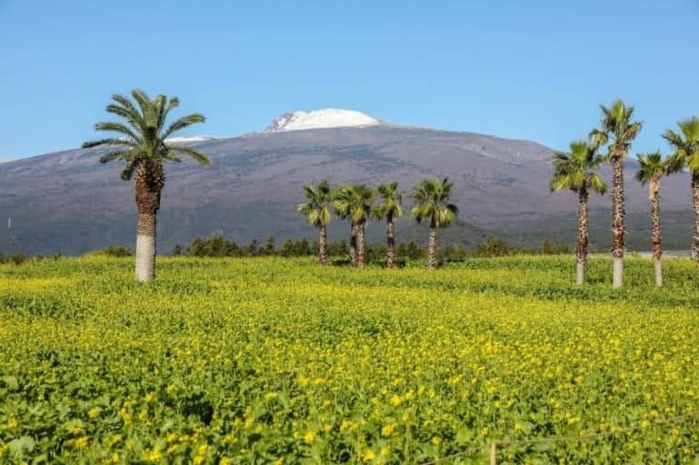 휴애리 자연생활공원