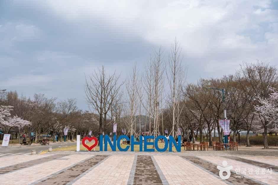 인천대공원 꽃무릇