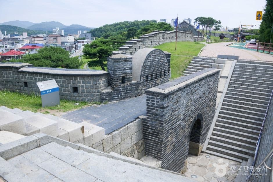 수원 화성 성곽길 개나리