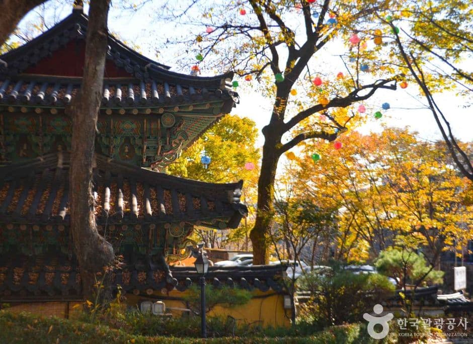 서울 길상사 꽃무릇