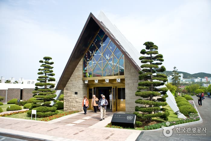 부산 유엔기념공원 국화