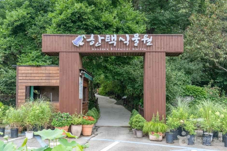 용인 한택식물원 꽃무릇