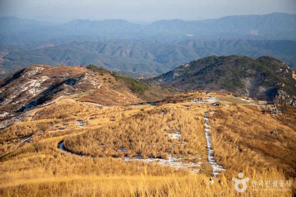 합천 황매산 억새