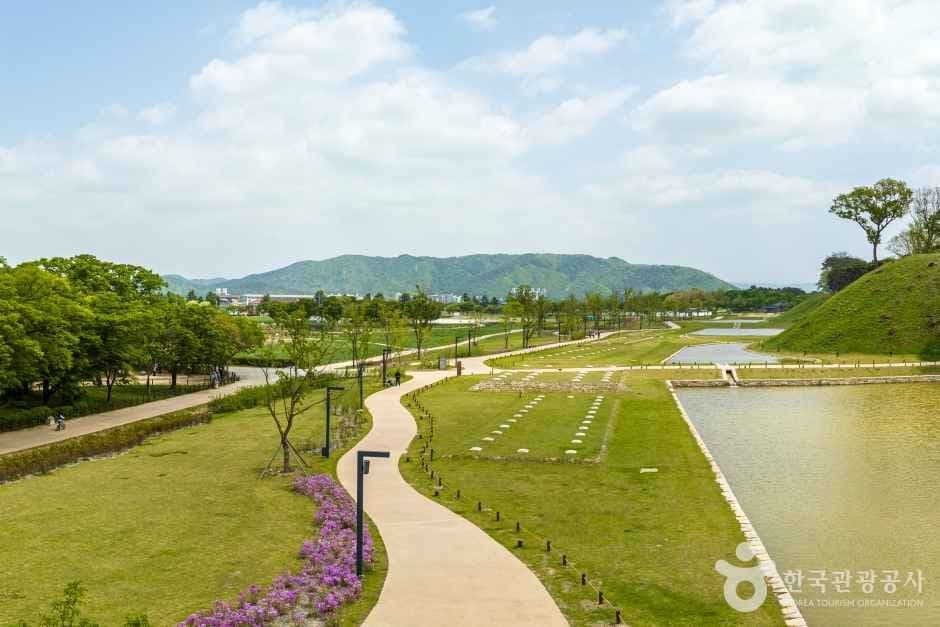 경주 동부사적지 핑크뮬리