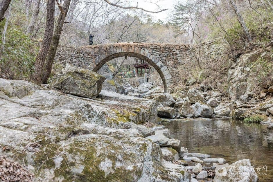 순천 선암사 꽃무릇