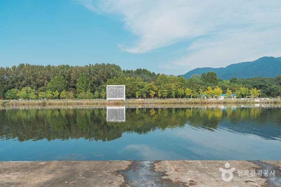 하남 미사경정공원 코스모스