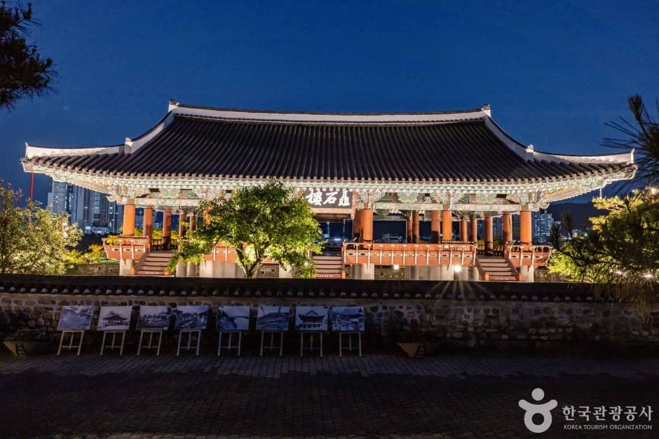 진주성 국화