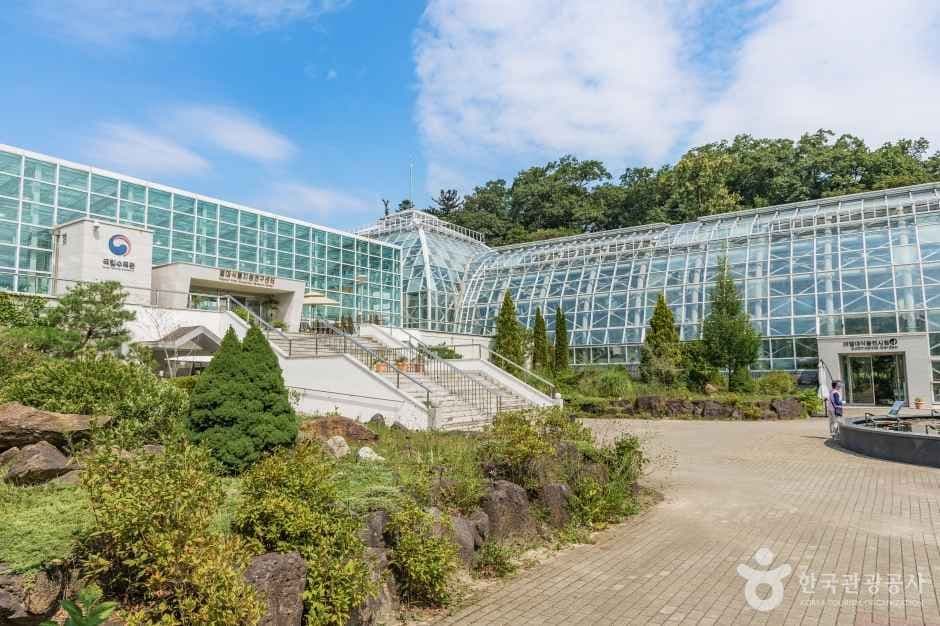국립수목원 (광릉숲)