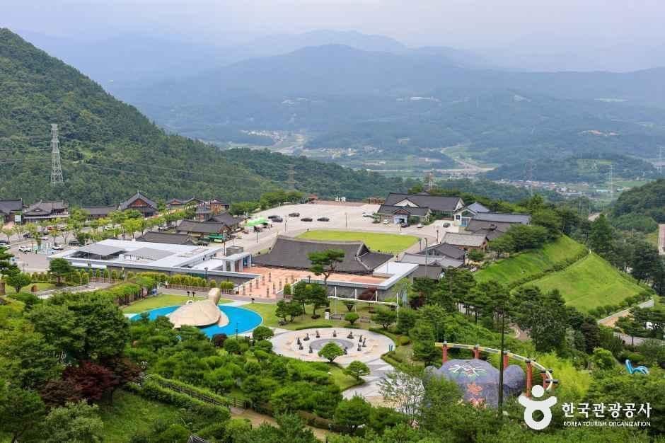 산청 동의보감촌 구절초