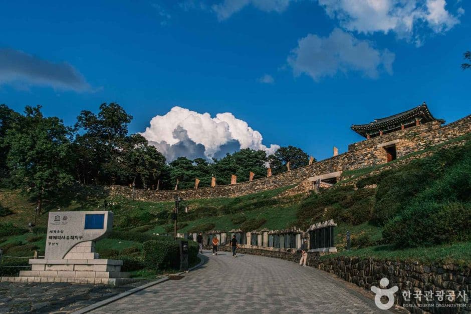 공주 공산성 개나리