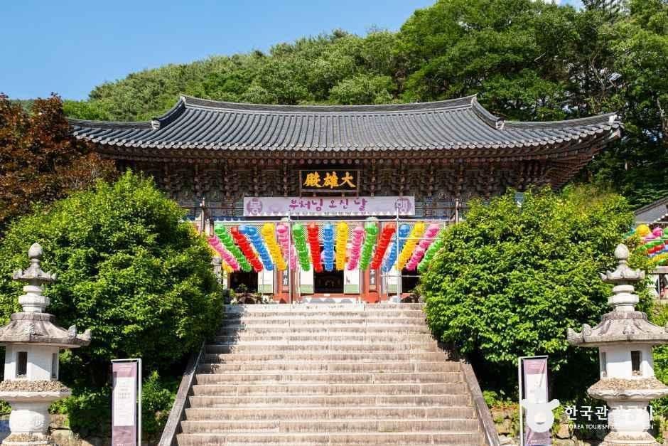 하동 쌍계사 꽃무릇