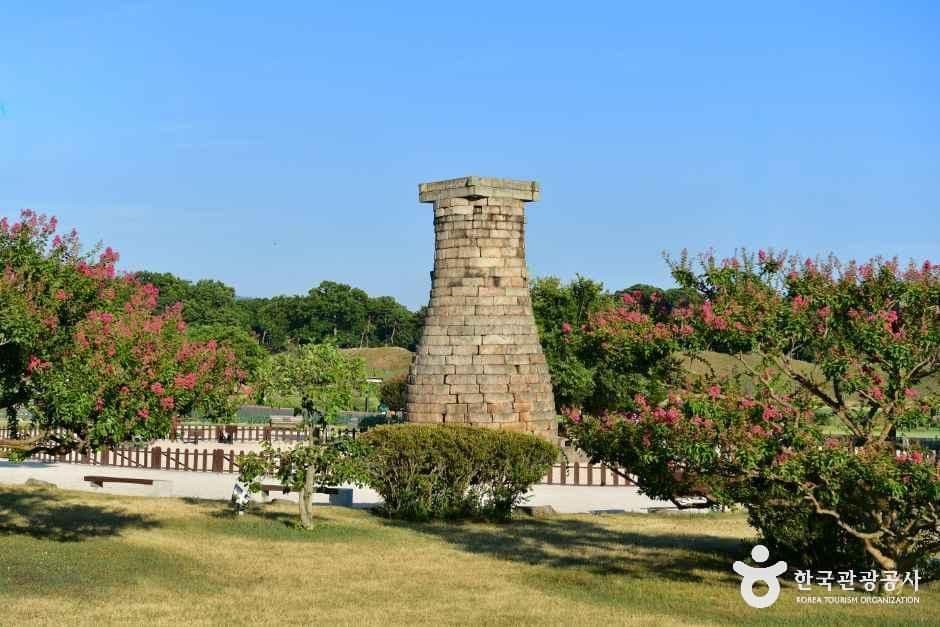 경주 첨성대 코스모스