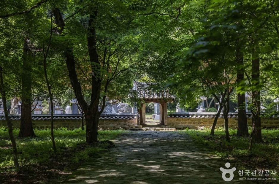 고창 선운사 꽃무릇