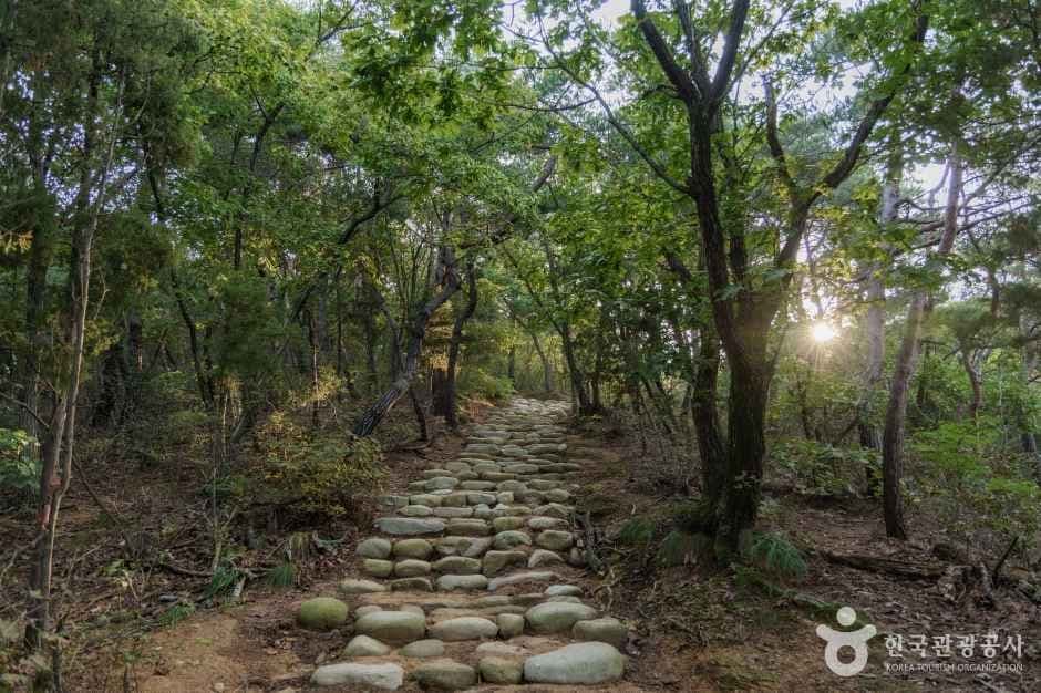 북한산 자락길 개나리동산