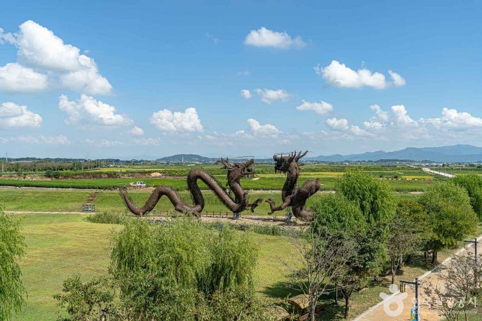 김제 벽골제 핑크뮬리